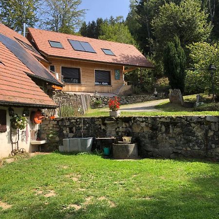 La Maison De Jean Les Adrets Exterior foto